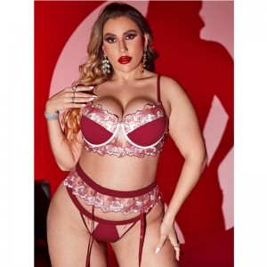 Sous-vêtements Sexy Sous-vêtements Mariage Voile Uniforme Lace Pure Temptation Sexy Perspective Lingerie Set
